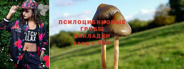 а пвп мука Алзамай