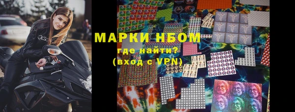мет Алексин
