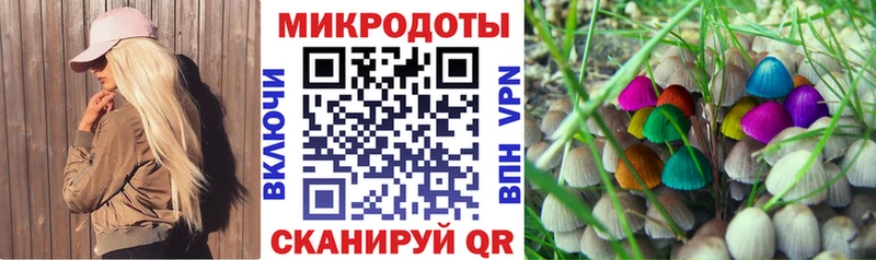 где найти наркотики  Мыски  Псилоцибиновые грибы Cubensis 